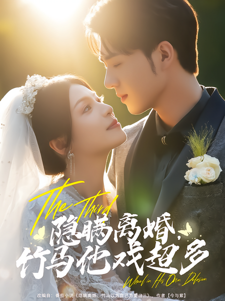 隐瞒离婚，竹马他戏超多