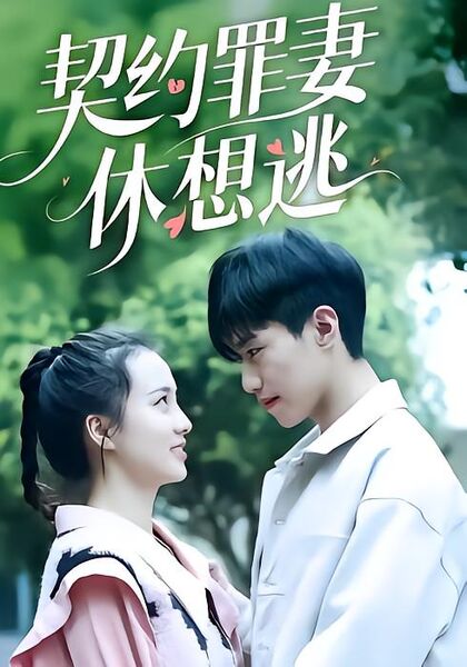 契约罪妻休想逃