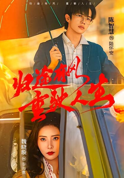 归途有风重驶人生