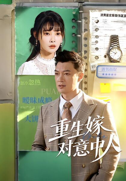 重生嫁对意中人