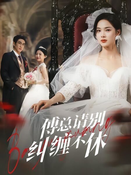 傅总请别纠缠不休