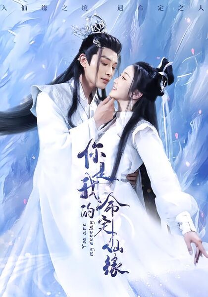 你是我的命定仙缘