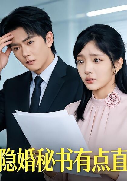 隐婚秘书有点直