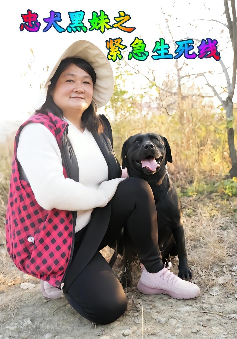 忠犬黑妹之紧急生死线