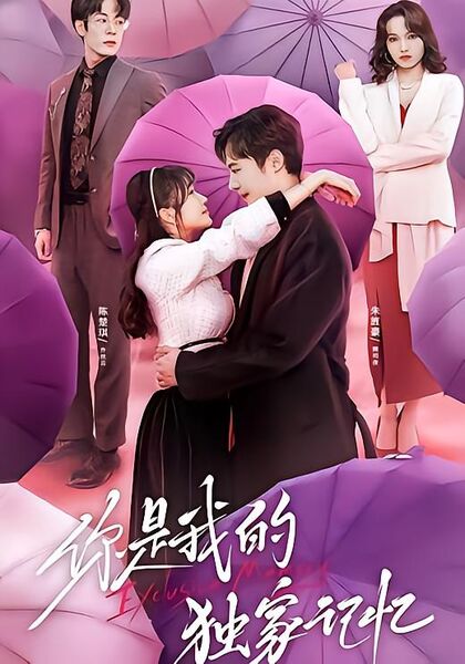 你是我的独家记忆