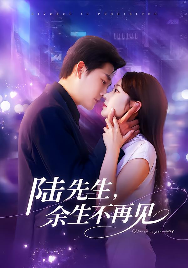 陆先生，余生不再见