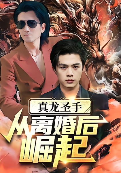 真龙圣手：从离婚后崛起