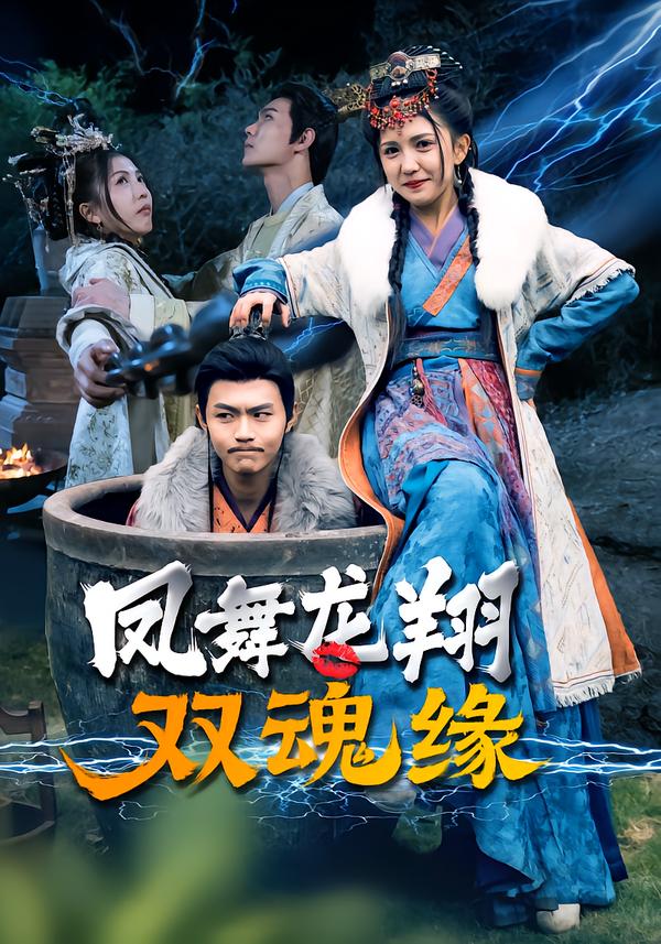 凤舞龙翔双魂缘
