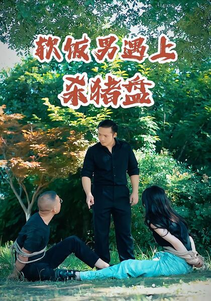 软饭男遇上杀猪盘