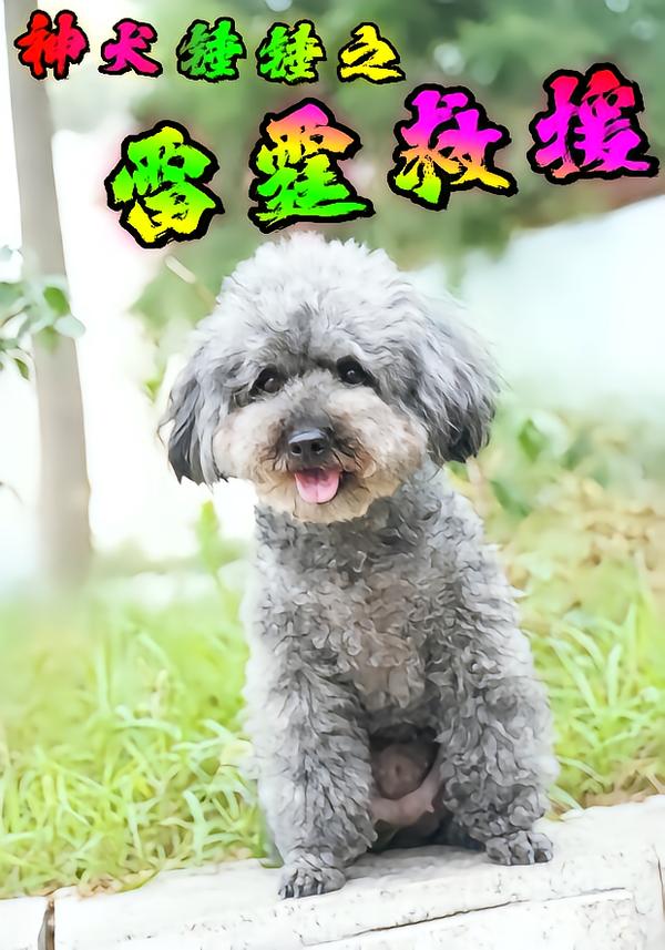 神犬锤锤之雷霆救援