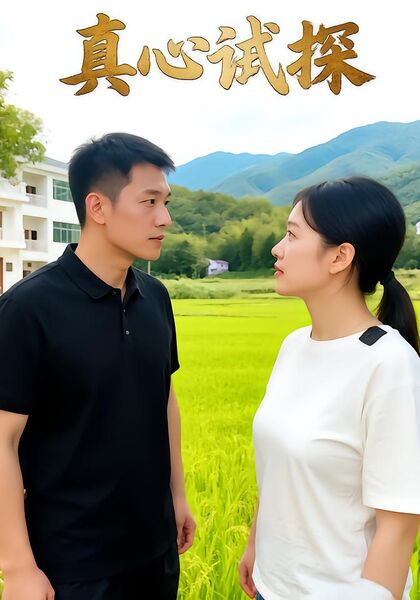 真心试探
