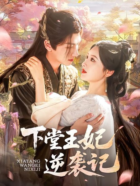 下堂王妃逆袭记