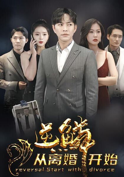 逆鳞从离婚开始