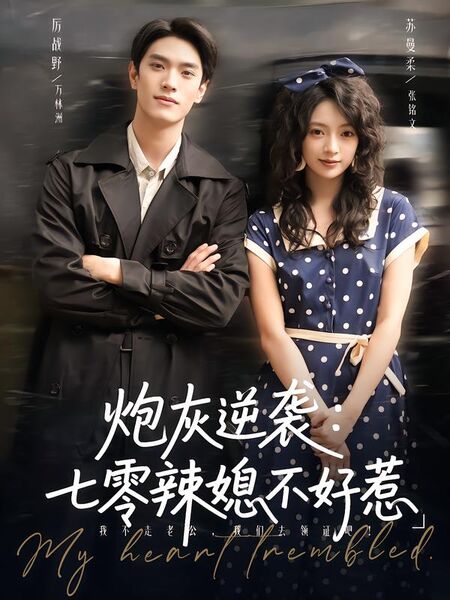 炮灰逆袭：七零辣媳不好惹