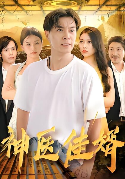神医佳婿