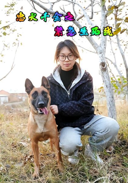 忠犬千金之紧急生死线