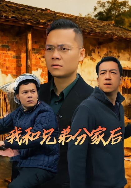 我和兄弟分家后