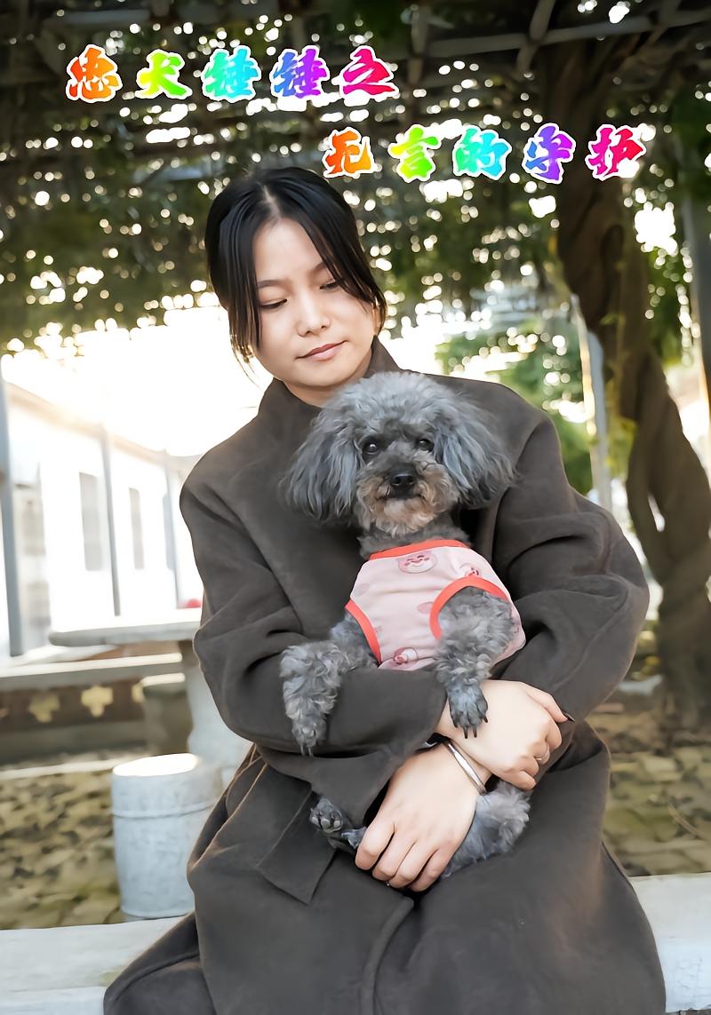 忠犬锤锤之无言的守护