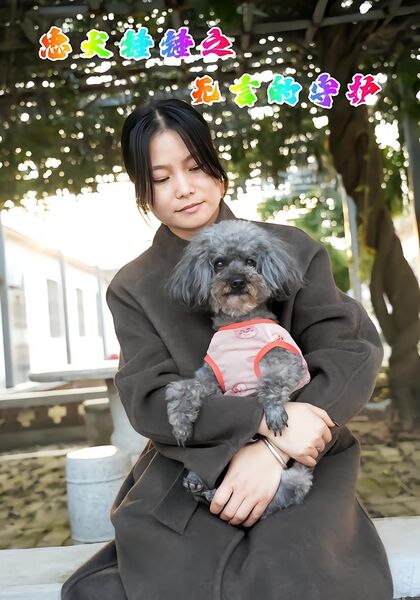 忠犬锤锤之无言的守护