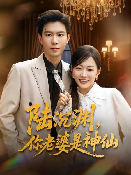 陆沉渊，你老婆是神仙
