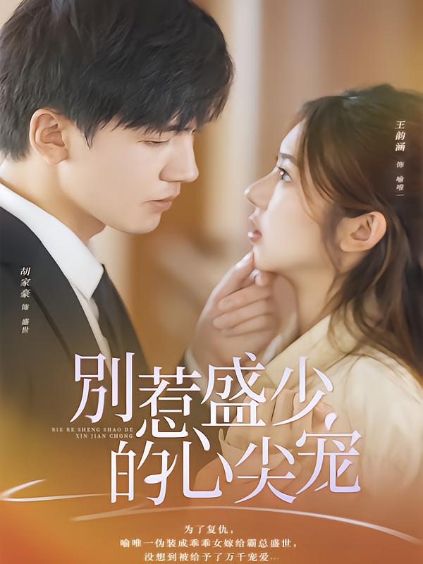 别惹盛少的心尖宠