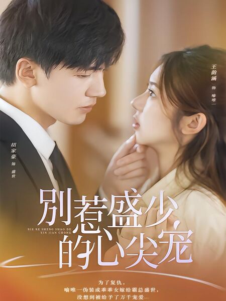 别惹盛少的心尖宠