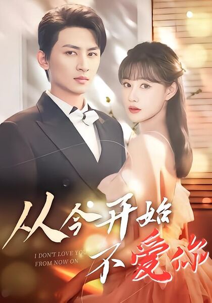 从今开始不爱你