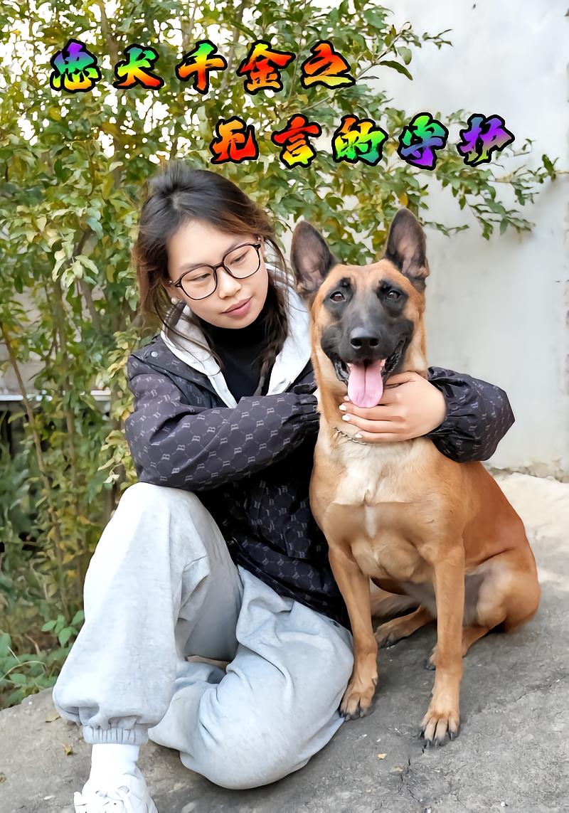 忠犬千金之无言的守护