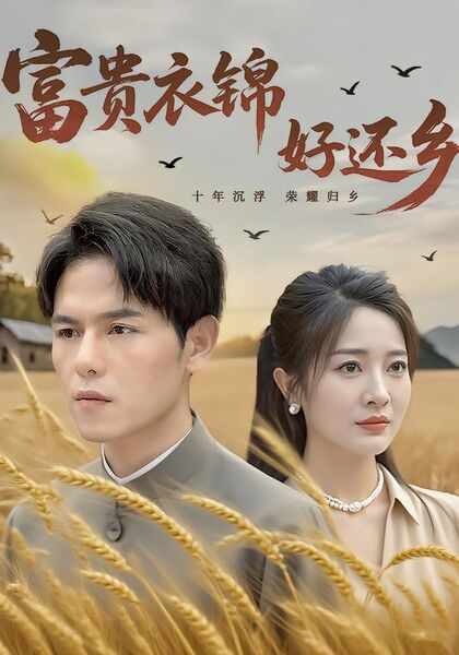 富贵衣锦好还乡