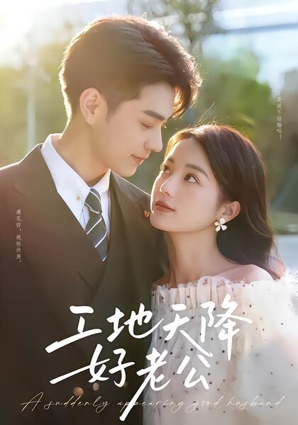 工地天降好老公