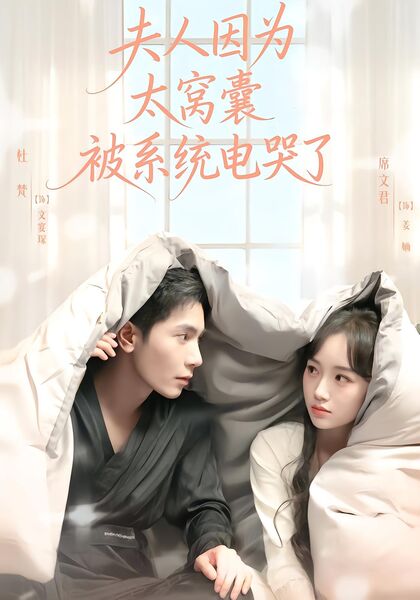 夫人因为太窝囊被系统电哭了