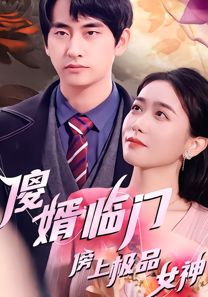 傻婿临门傍上极品女神