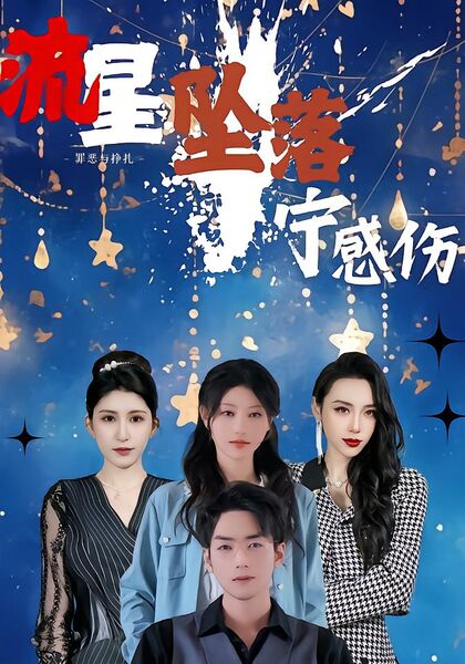 流星坠落宁感伤