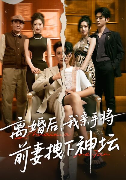 离婚后，我亲手将前妻拽下神坛