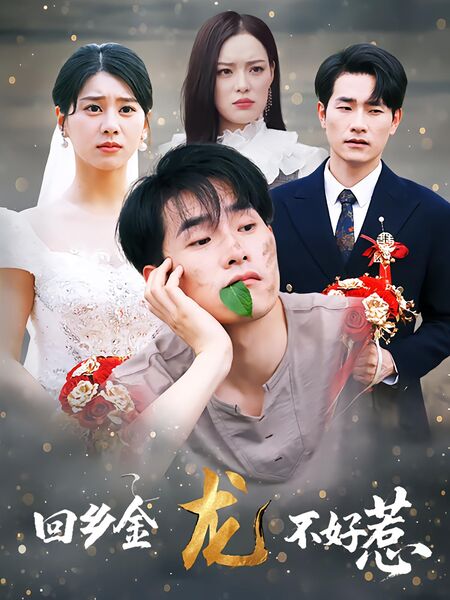 回乡金龙不好惹