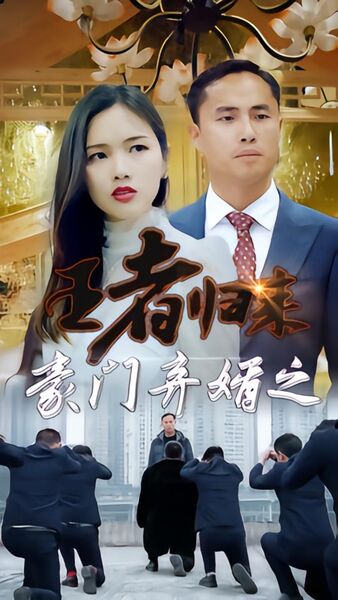 豪门弃婿之王者归来