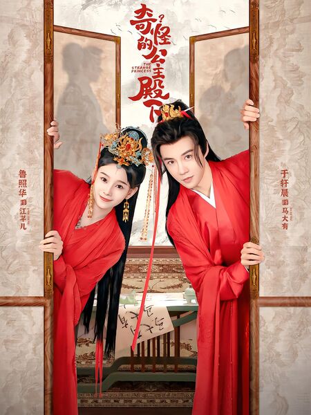 奇怪的公主殿下