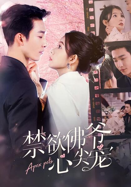 禁欲佛爷心尖宠