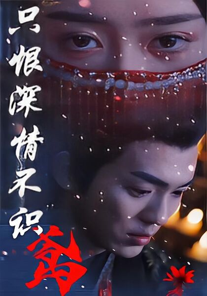 只恨深情不识鸢