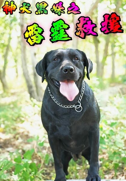 神犬黑妹之雷霆救援