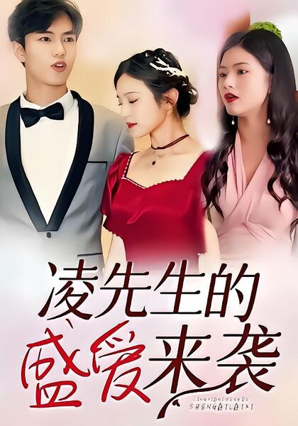 凌先生的盛爱来袭