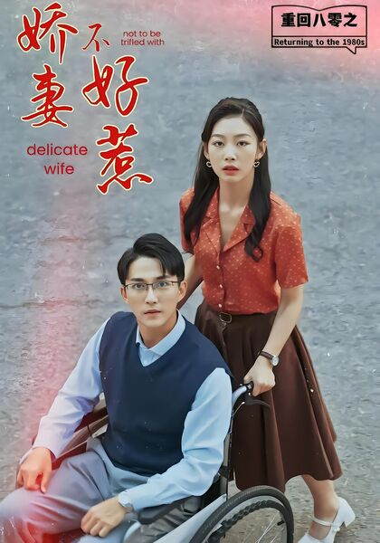 重回八零之娇妻不好惹