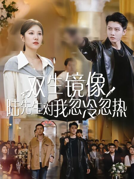 双生镜像，陆先生对我忽冷忽热