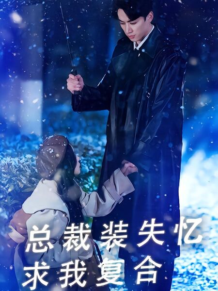 总裁装失忆求我复合