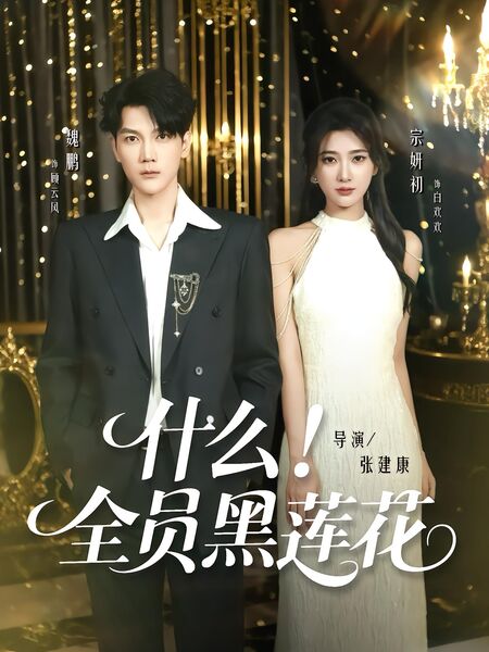 什么！全员黑莲花