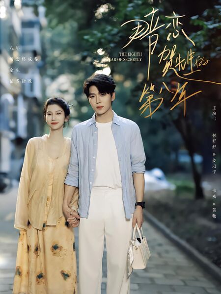 暗恋贺先生的第八年
