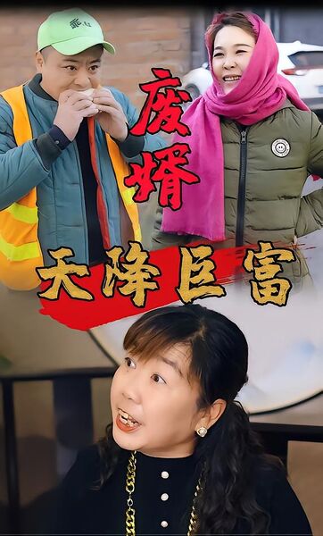 废婿之天降巨富