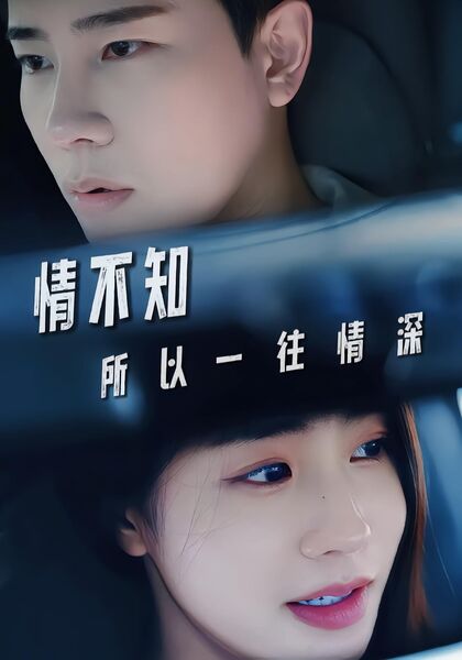 情不知所以一往情深