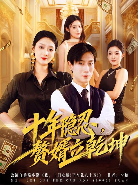 十年隐忍，赘婿立乾坤