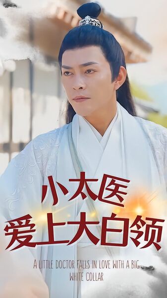 小太医爱上大白领